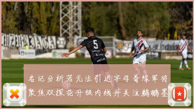 名记分析若无法引进字母哥绿军将聚焦双探花升级内线并关注鹈鹕墨菲